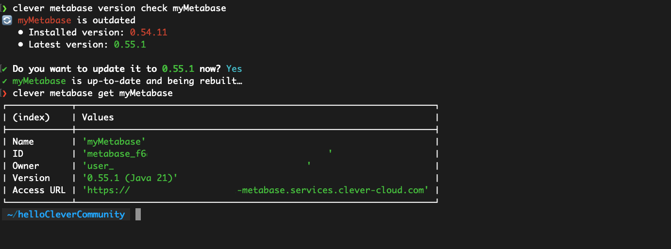 Check Metabase Version command